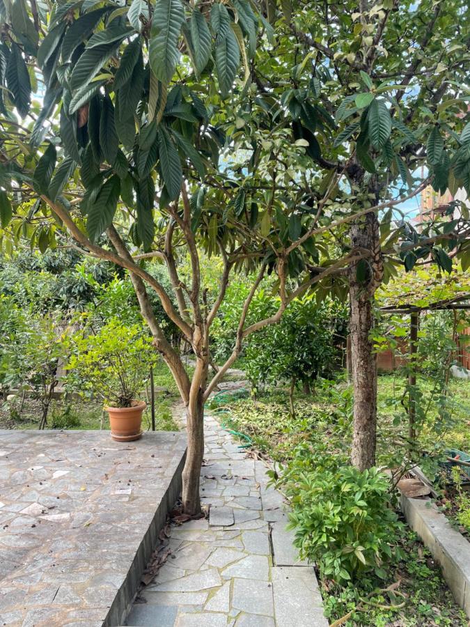 Appartement Gardenie à Koutaïssi Extérieur photo